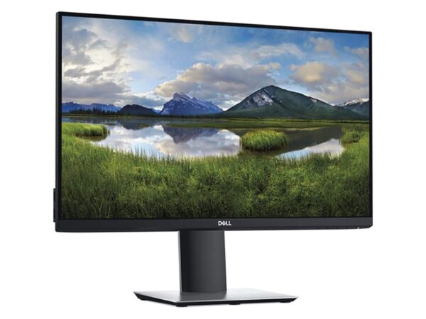 MONITOR DELL P2419HC 24INCH FHD TYPE C